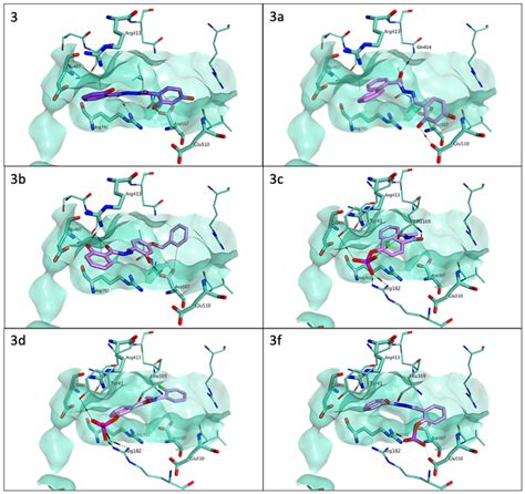 Proposed Binding Mode For 3 Carbon Atoms In Purple 3ad And 3f