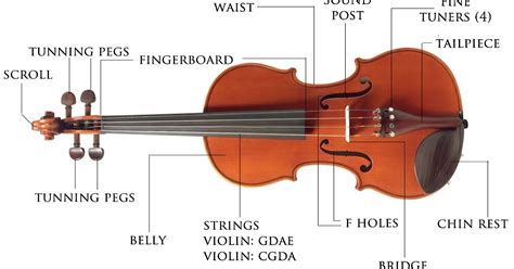 Parts of the Violin and Bow ~ Music For Violin