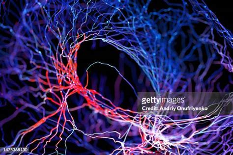 8477 Neurone Stock Photos High Res Pictures And Images Getty Images