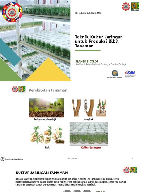 Teknik Kultur Jaringan Untuk Produksi Tanaman | PDF