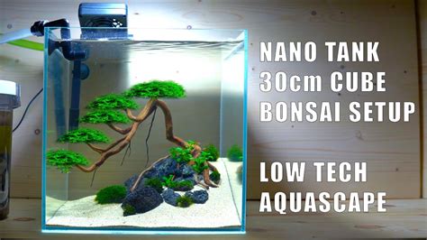 Low Tech Nano Tank Bonsai Aquascape 30cm Cube Tank Tutorial Youtube