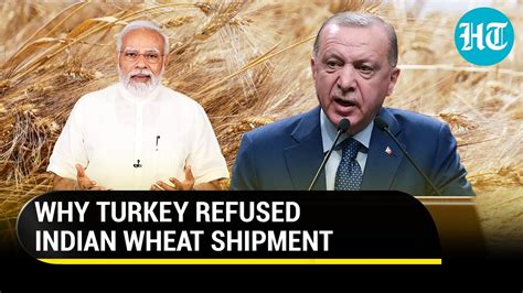 Turkey Rejects India S Wheat Shipment Citing Rubella Disease I Watch