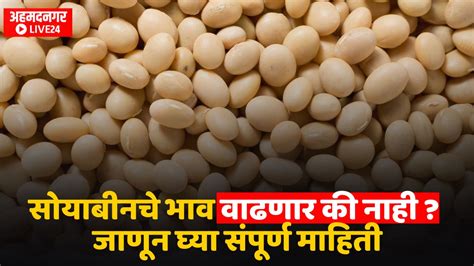 Soybean Market Price या कारणांमुळे आंतरराष्ट्रीय बाजारपेठेत वाढत आहे सोयाबीनचे भाव येणाऱ्या