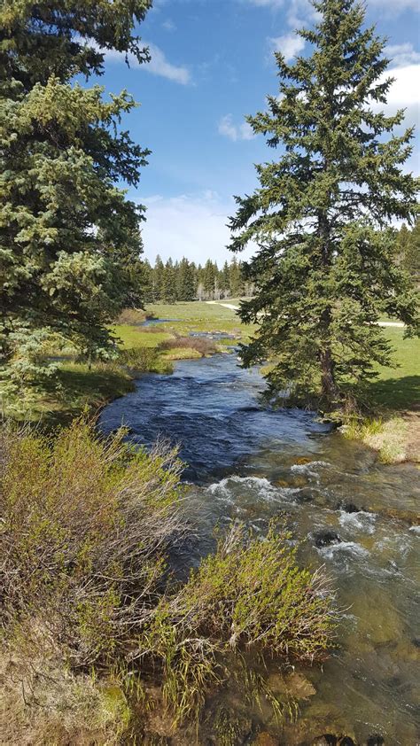 Duck Creek Via Aspen Mirror Lake Trail In Duck Creek Ut Great Bird