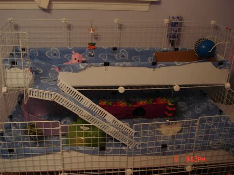 Ramp - Guinea Pig Cages