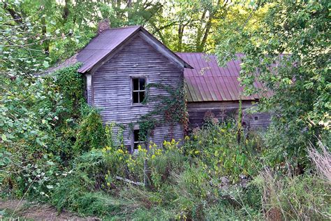 Overgrown Abandoned Farm House Photograph By Douglas Barnett