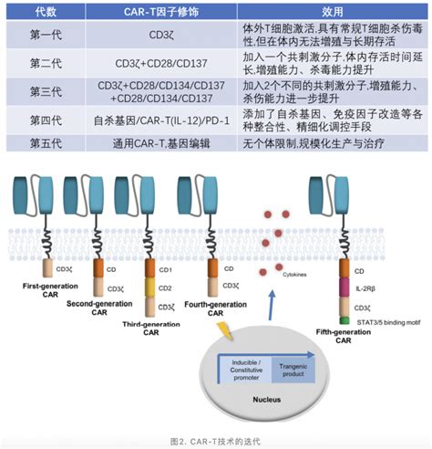 中国CAR T细胞疗法发展现状及挑战 恶性肿瘤 实体瘤 靶点 抗原 细胞疗法 健康界