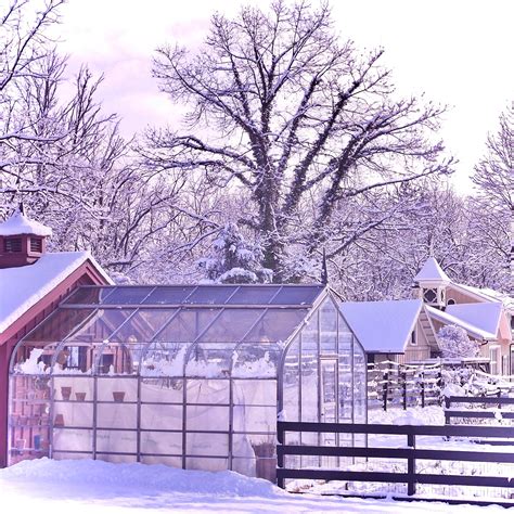 The Lines in Winter – Cultivate Apothecary