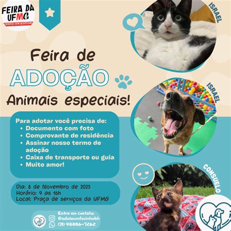 Feira de Adoção de Animais Especiais Escola de Veterinária UFMG