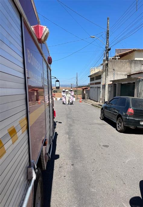 Ataque De Enxame De Abelhas Deixa Duas Pessoas Feridas Em Machado