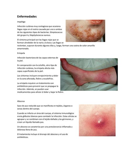 Impetigo Infeccion Bacteriana De La Piel Pediatria Salud Images