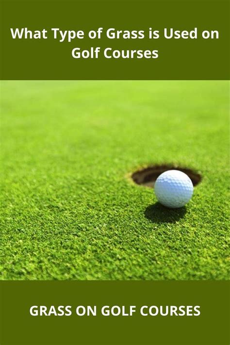 Golf Course Grass Types