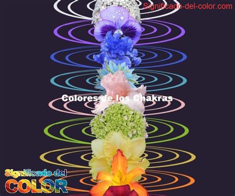 Los Colores De Los Chakras Y Su Simbolismo