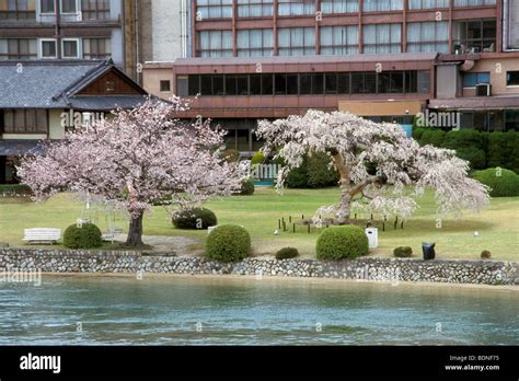 Maison Traditionelle Osaka Banque De Photographies Et Dimages Haute