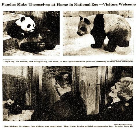 A Brief History of Panda Diplomacy - The New York Times