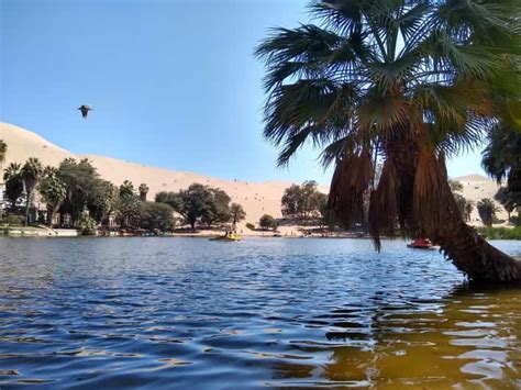 From Lima Huacachina Oasis Tour Winery Desert Sunset Getyourguide