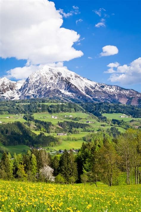 Alpine Landschaft im Frühling Stock Bild Colourbox