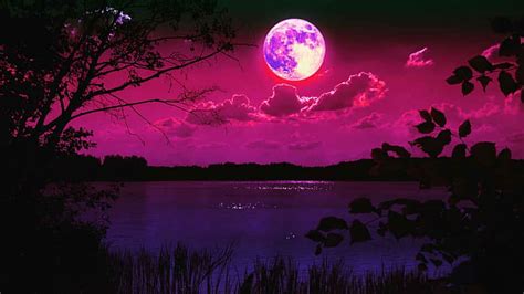 Moonlight Nature Wallpaper Hd