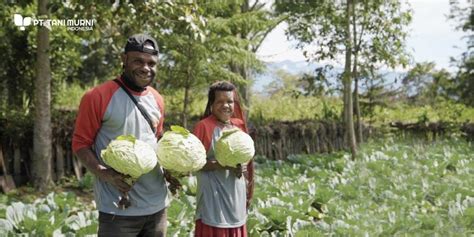 Petani Papua Bakal Dapat Pasokan Benih Sayur Dari Jabar