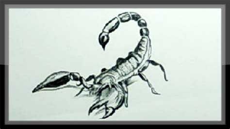 Realistic Scorpion Drawing