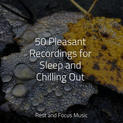 Pleasant Recordings For Sleep And Chilling Out Album By Sleep