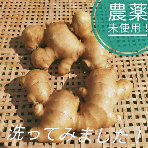 根強い人気 ！ 農薬未使用 親生姜4kg 限界集落栽培 メルカリ