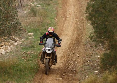 Prova Triumph Tiger Rally Pro Test Cavalli Da Godere