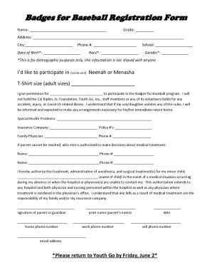 Fillable Online Badges For Baseball Registration Form Neenah Fax