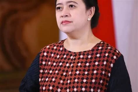 Profil Dan Biodata Lengkap Puan Maharani Umur Pendidikan Karir Dan