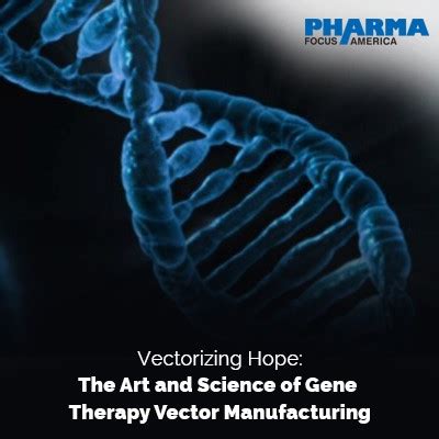 Vectorizing Hope: The Art and Science of Gene Therapy Vector Manufacturing