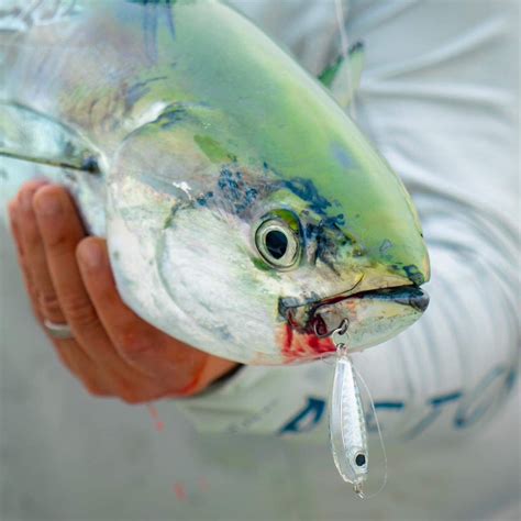 Albie/Bonita/Bonito Kit - Joebaggs Outdoors