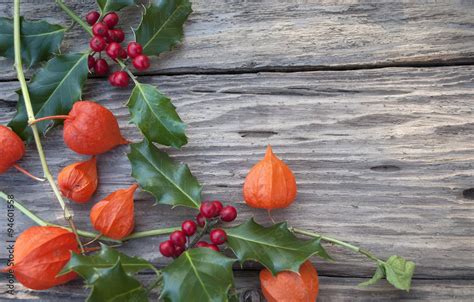 Stechpalme Ilex Zweige Mit Roten Beeren Und Lampionblumen Auf Altem