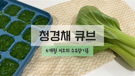 토핑이유식 청경채 큐브 만들기 6개월 지오의 수유량기록 Youtube