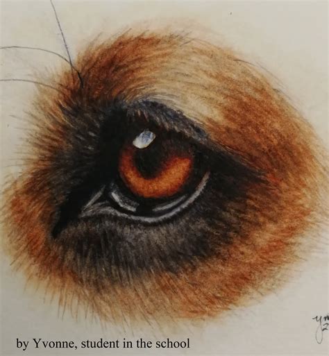 Free Tutorial: How to Paint a Dog's Eye | Watercolors with Rebecca