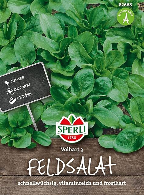 Sperli Premium Feldsalat Samen Vollhart Extra Frosthart