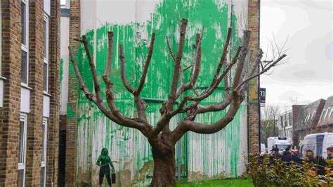 New Banksy Tree Mural In North London Defaced With White Paint