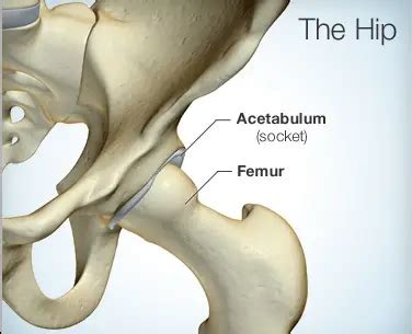 Discover The Hip Pain Symptoms and Diagnosis - Body Pain Tips