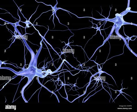 Neuronales Netzwerk Computer Grafik Stockfotografie Alamy