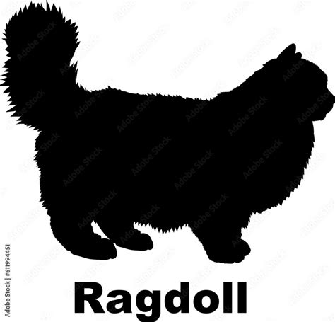 Ragdoll Cat Silhouette Cat Breeds Stock Vector Adobe Stock