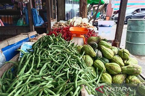 Harga Cabai Di Pulau Simeulue Melambung ANTARA News Aceh