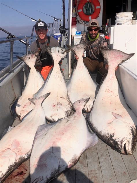 Halibut Facts Why Are Halibut So Big Catch Alaskan Halibut