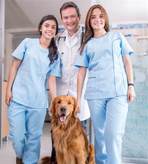 Veterinary Assistants Program Okvma