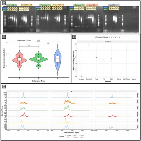 Frontiers Rescue A Validated Nanopore Pipeline To Classify Bacteria