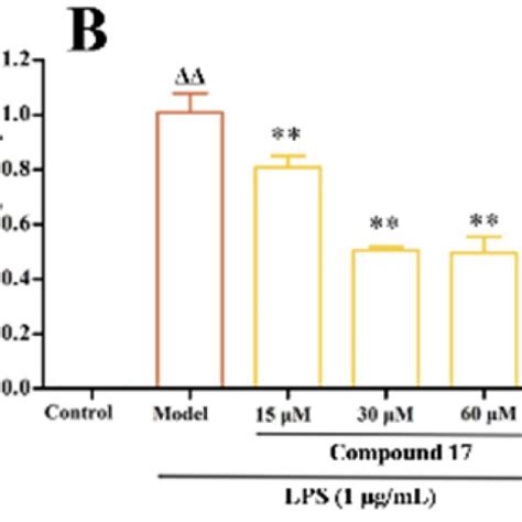 Effects Of Compound 17 On Morphological Changes In Paw Edema Tissue By