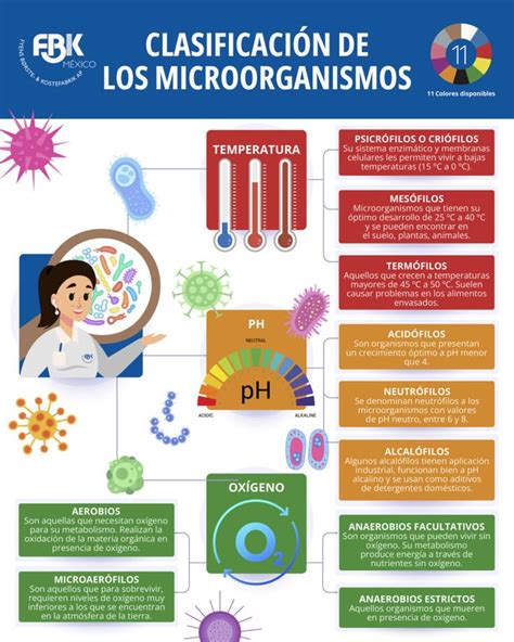 Los Microorganismos Se Clasifican Según A Temperatura B Ph C OxÍgeno En 2024