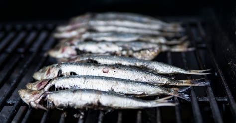 Sardines Nutrition: Why You Should Eat Them Each Day - Ashley N Cline