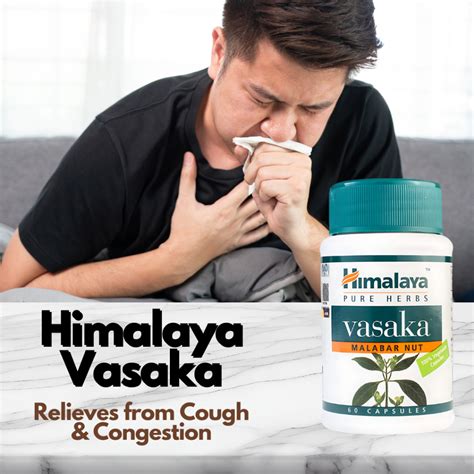 Himalaya Vasaka Malabar Nut 60 Tablets Respiratory Care Cough Reducing ...