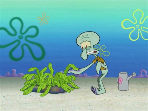 Squidwards Kelp Gardengallery Encyclopedia Spongebobia Fandom