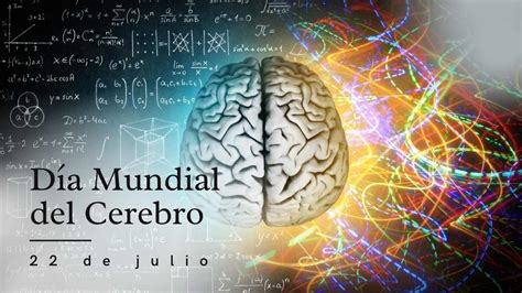 22 De Julio Día Mundial Del Cerebro Revistamarketing