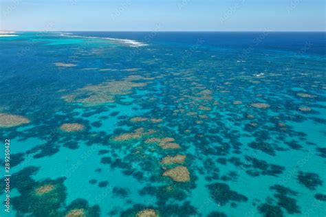 Coral Reef Aerial Photo Of Ningaloo Reef In Australia Shallow Reefs